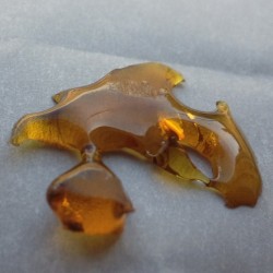 xdemur:  All day #errl day happy #shatterday