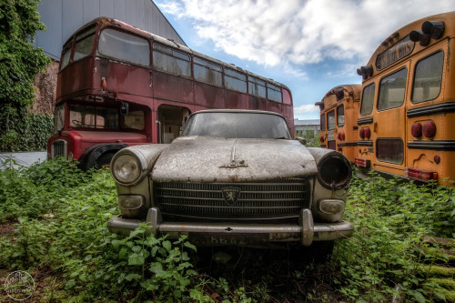 ANTIQUES ROADSHOWIn the backyard of a garage I came across this collection of discarded cars and bus