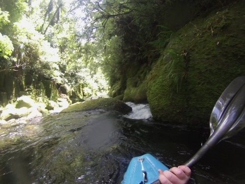 Paddled the most amazing river on the planet on Saturday! Waiari Gorge is spring fed and so clean yo