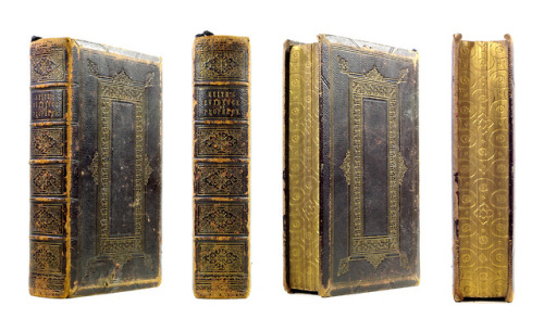 19th century binding with gauffered gilt page edgesThe edges of a book, usually gilded, which have b