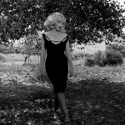 amyadams: Marilyn Monroe, phorographed by Inge Morath, in Reno, Nevada, 1960.