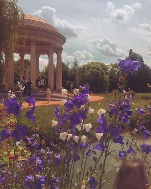 lost-in-pemberley: Purple in The Gardens of Petit Trianon ~