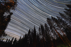 humanoidhistory:  Star trails observed from the Wawona Campground, Yosemite National Park, California. (Hendren Imaging) 