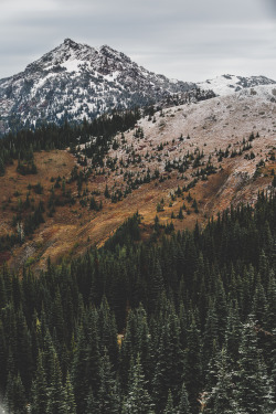 brianstowell:  Hurricane Ridge, Olympic National Park, Washington instagram / flickr / Lost Lust Supply 