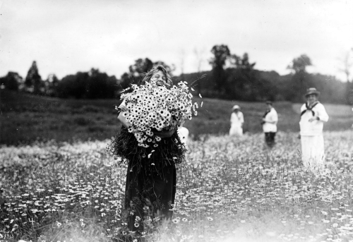 cinoh: Circa 1910s, a cheerful group of Vassar College students gather daisies for the annual daisy 