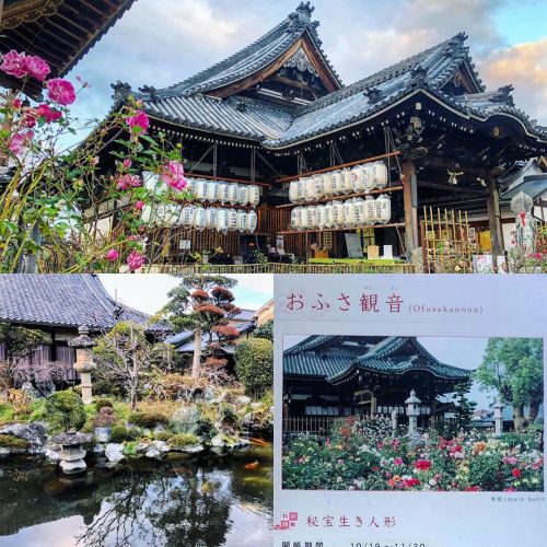 ＼おにわさん更新情報／ ‪[ 奈良県橿原市 ] おふさ観音庭園“円空庭” Ofusa Kannon Temple Garden, Kashihara, Nara の写真・記事を更新しました。 ーー“奈