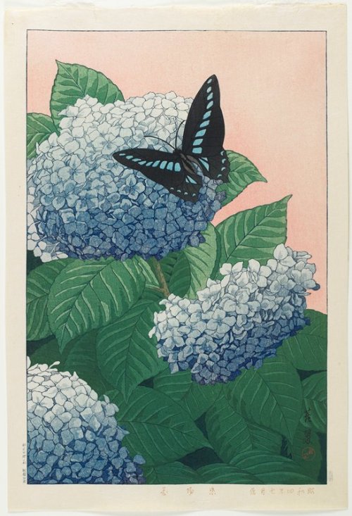 mia-japanese-korean: Hydrangeas, Inuzuka Taisui, July 1929, Minneapolis Institute of Art: Japanese a