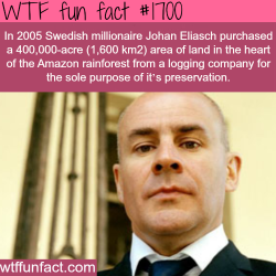 wtf-fun-factss:  Swedish millionaire Johan Eliasch - WTF fun facts