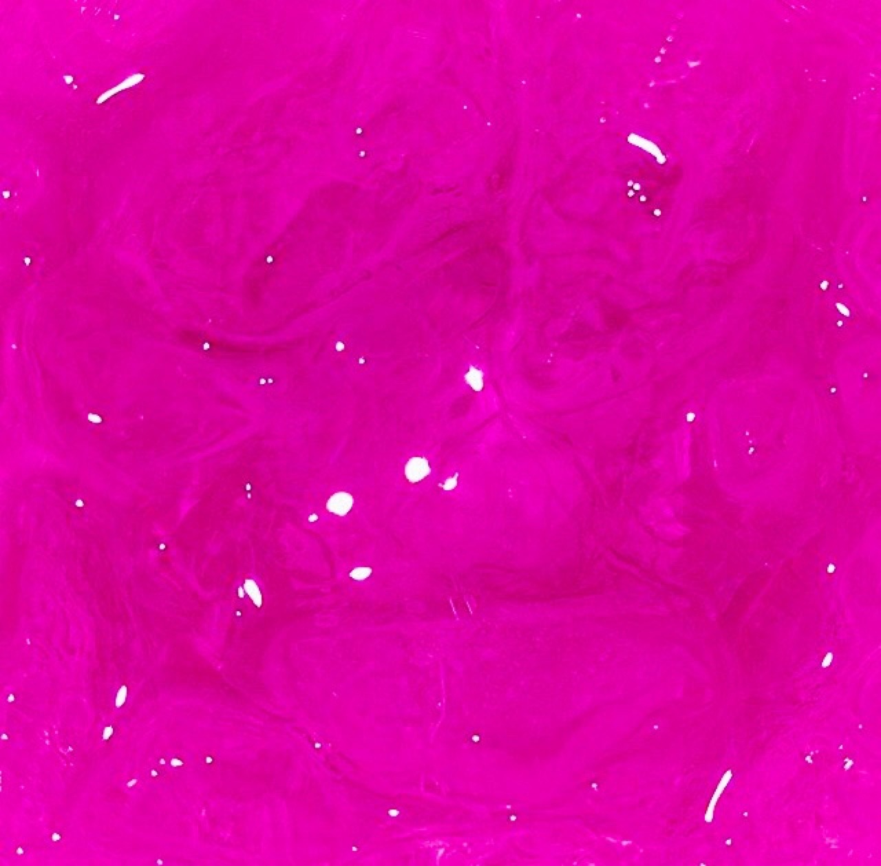 dixmndis:  l1lhomie:  technicolourdreamin:  Could be purple, It could be pink…