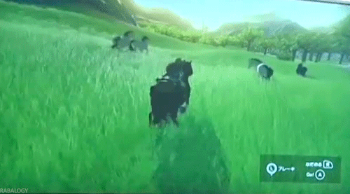 imstillyourzelda:rabalogy:brother why‘real horses don’t run into trees very often’