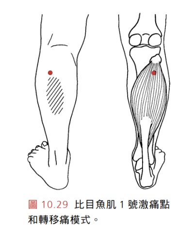 比目魚肌tumblr Posts Tumbral Com 比目魚肌tumblr Posts Tumbral Com