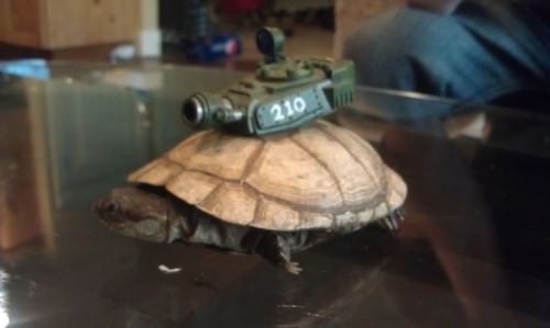 astra militarum