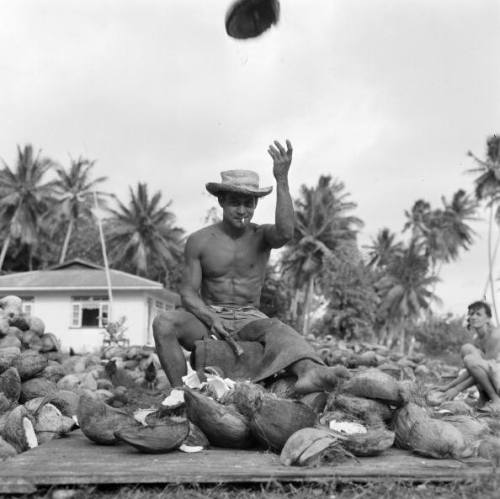 Tahiti, Préparation du coprah, photo Jack Garofalo, 1959 via Vahineitaria