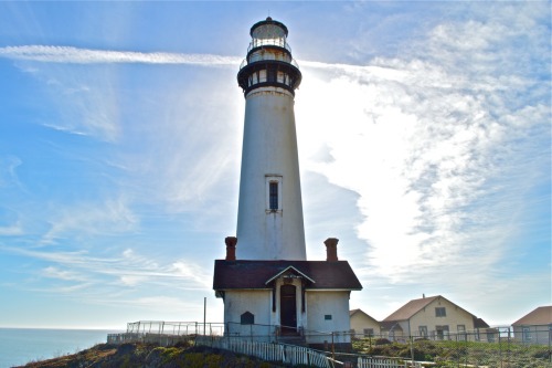 doujenshi:I love California’s coastline.