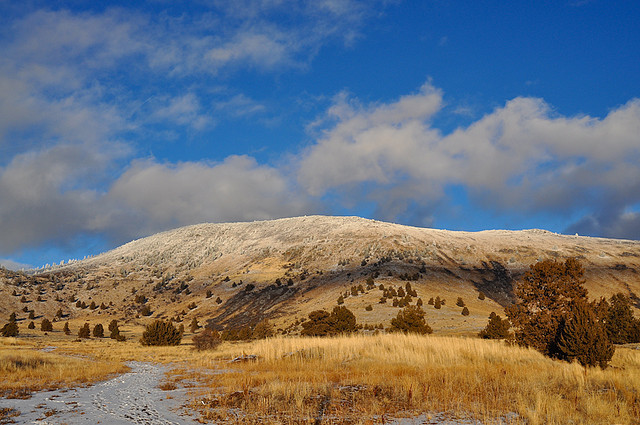 Bye Bye snow.. (by codyamesphoto)