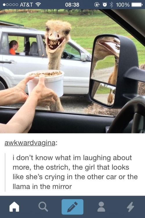 itsstuckyinmyhead:  Epic Tales By Tumblr Bloggers