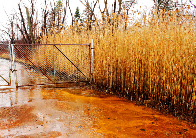 What is acid mine drainage? Acid Mine Drainage is one of the main environmental problems found at the Earth's surface. It is...