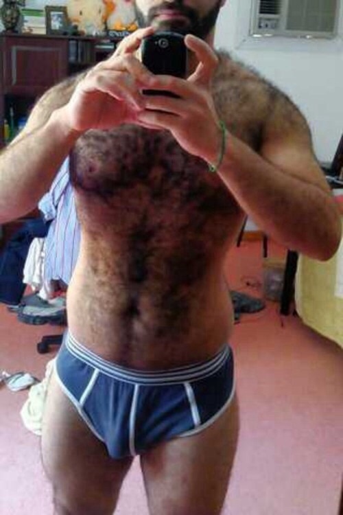 Gay Bears Australia