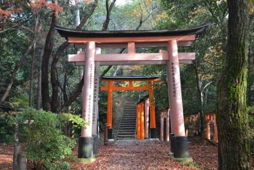 Dreaming of Fall in Kyoto.