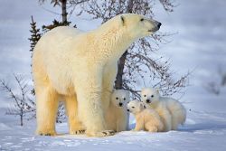 (Photo: Keren Su/Getty Images)