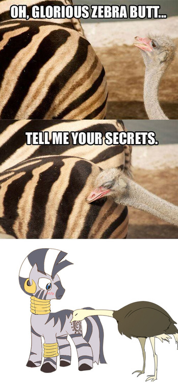 goombells:   In response to the zebra butt picture  Pretty much me yo.  X3!