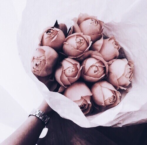 bohoindie:roses