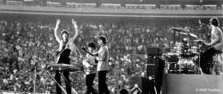 harri-boyd:  Day 27 | Favourite Beatles Concert: Shea Stadium (1965) Impresionante. Verlo por internet te transmite una sensación de querer estar ahí, entre tanta gente, gritándoles, saltando, llorando. Y todo por cuatro hombres con flequillo tocando