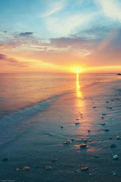 expressions-of-nature:  Sunset by: Vadim Tarasov