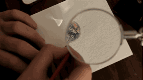 asylum-art:These Tiny Paintings For Ants Will Make Your Heart SingArtists on TumblrArtist Lorraine Loots, 29, is based in Cape Town, South Africa, and she makes paintings for ants.Her series 365 Paintings for Ants started as a side project after Loots