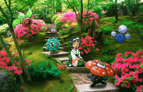 dotcore:  16-Bit Photography.by Sindre Johnsen. 
