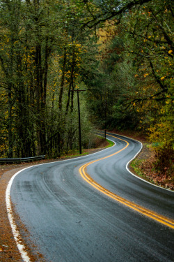 disminucion:   Gordon Creek Road, LukeDetwiler 