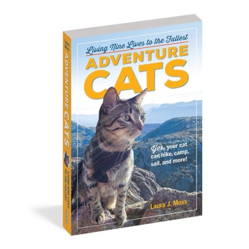 adventurecatsorg:Take a sneak peek at the Adventure Cats book! Pre-order a copy and be the first to 