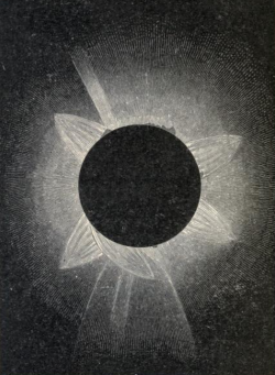 nemfrog:“The total eclipse of the Sun,