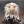 frisian-viking-deactivated20210: