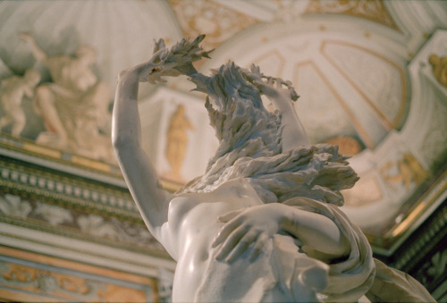 barcarole:Bernini’s Apollo and Daphne at the Galleria Borghese in Rome, 2016. Photos by Stuart Frank