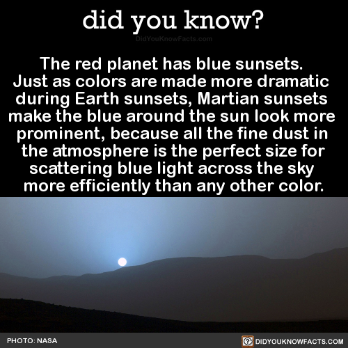 did-you-know:  The red planet has blue sunsets. Just as colors are made more dramatic