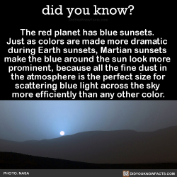 did-you-know:  The red planet has blue sunsets. Just as colors are made more dramatic during Earth sunsets, Martian sunsets make the blue around the sun look more prominent, because all the fine dust in the atmosphere is the perfect size for scattering