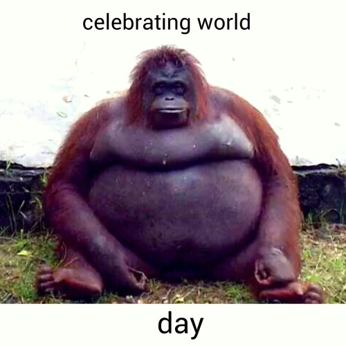 selamat hari orang utan dunia with Mahatma, Ibu-Gorilla, Yunita,...