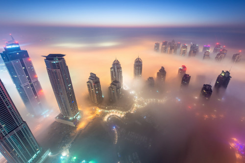 nubbsgalore:  photos from dubai’s 828 meter tall burj khalifa (save the first and last photos, which show the building) by (click pic) daniel cheong, karim nafatni, bjoern lauen and dave alexander. duabai only experiences this in september and march,