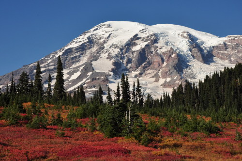 expressions-of-nature: Mt. Rainier Autumn by Jim Culp