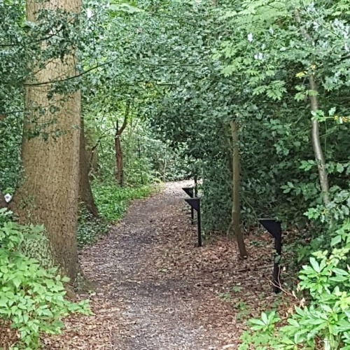 #natuur #naturephoto #nature #natuurfotografie #natuurfilm #naturefilm #trees #bos #forrest #kasteel