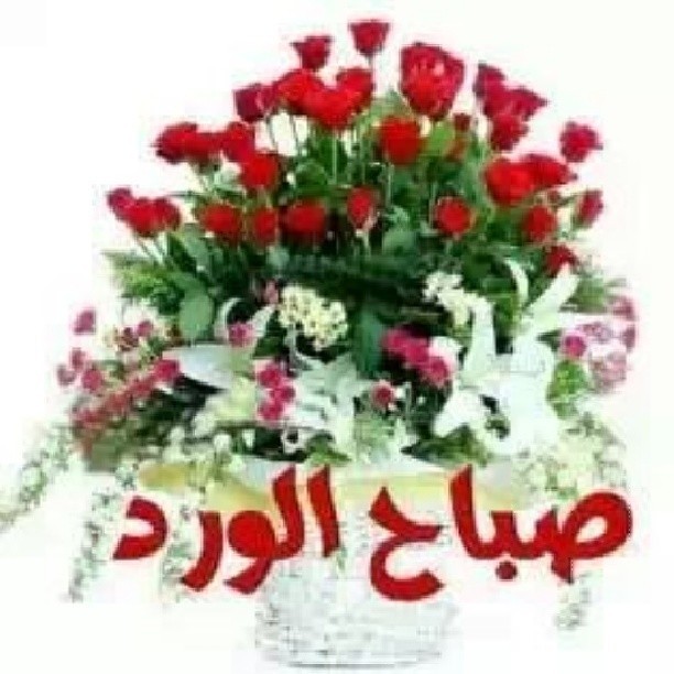 Untitled صباح الخير سوريا