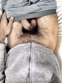 Thebustednut:  The Hairy Big Dick.