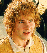 tossme:  one gifset per character           ↬ Meriadoc Brandybuck           