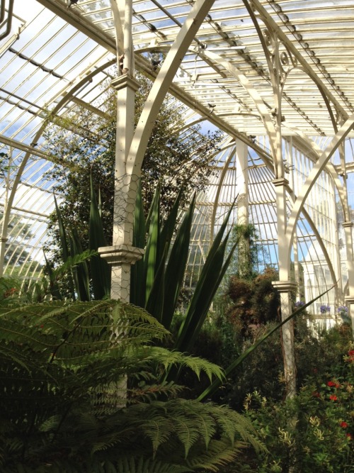 stillgewaesser:  national botanic gardens of dublin 