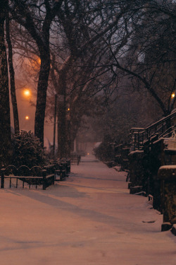 earthyday:  Very snowy morning, Brooklyn  by Billy Gomberg