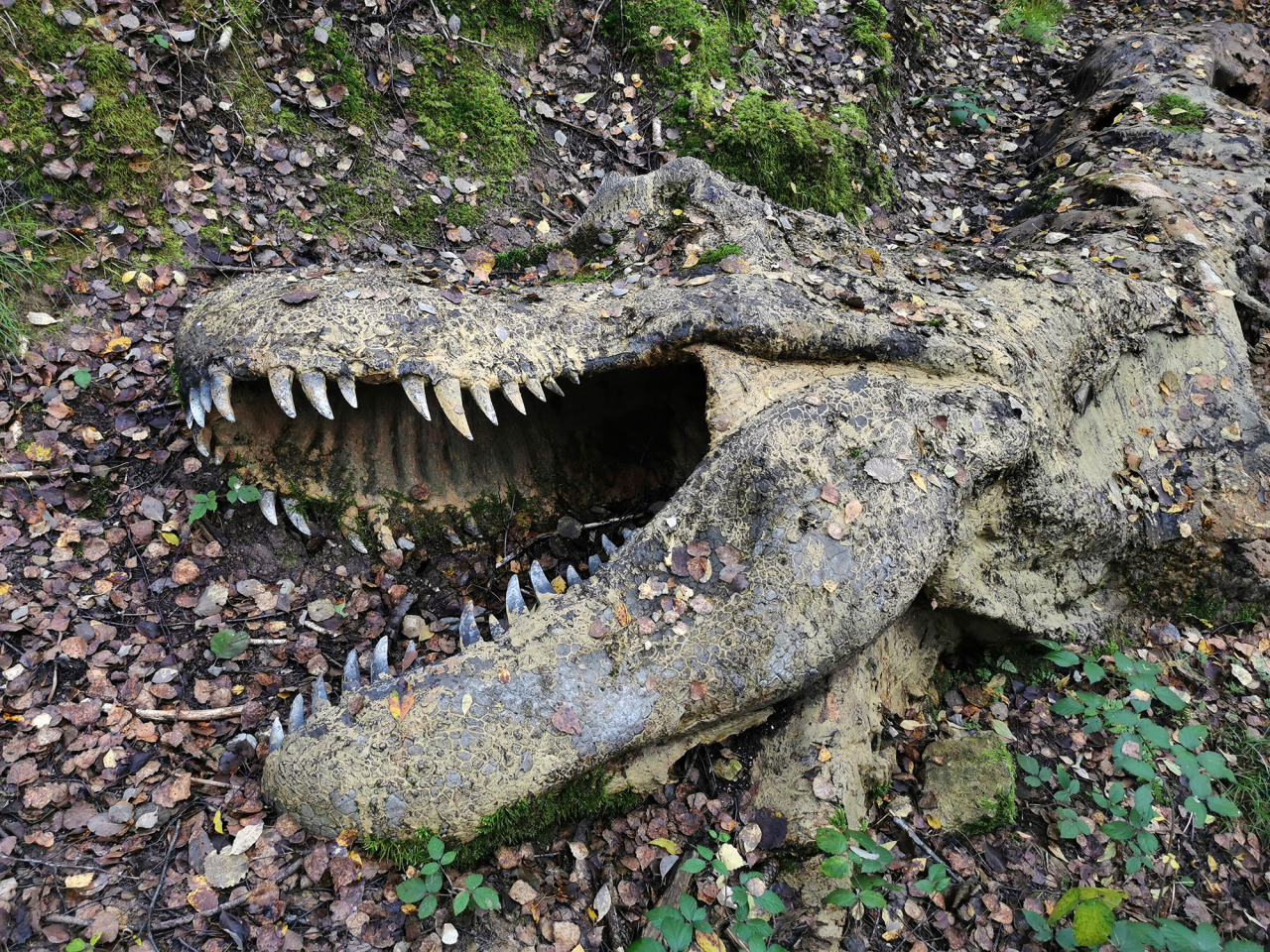 XXX lionfloss:Model of a decomposing Tyrannosaurus photo