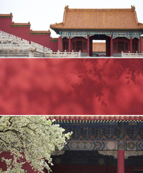 fuckyeahchinesegarden: Forbidden City by 白原的遠方 