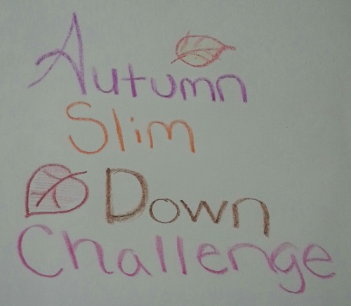 mandyqueenofsquats: What is this? The Autumn Slim Down Challenge is a 6-week motivation and support