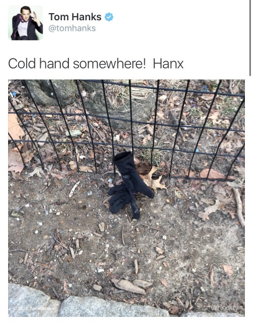 thank-you-mrs-loopner: half of tom hanks’ twitter is him tweeting lost items he sees and he s